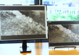 Modos Paper Grayscale or Color E-Ink displays