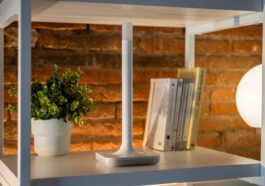 Home Assistant Connect ZWA-2