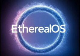 ETheRealos: installez facilement les images Linux ISO et OS depuis Internet sur Amlogic SBCS