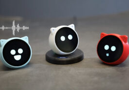 Espressif EchoEar Smart AI Development Kit