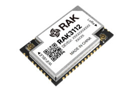 RAK3112 WisDuo module