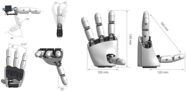 Dimensions de la main étonnantes