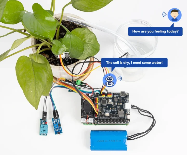 Capteurs LLM Raspberry Pi 5