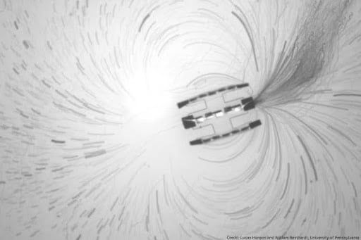 Un timelapse projeté des trajectoires de particules traceuses à proximité d’un robot