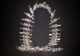 Time-lapse of a Microrobot Executing a Flip