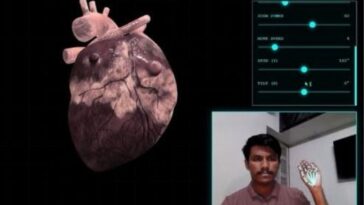 Bio-Vision Touchless Hand Gesture Interface