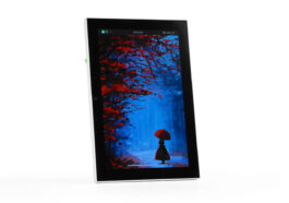 reTerminal D1001 : Écran tactile 8 pouces avec connectivité 4G LTE et LoRaWAN 4 reTerminal D1001