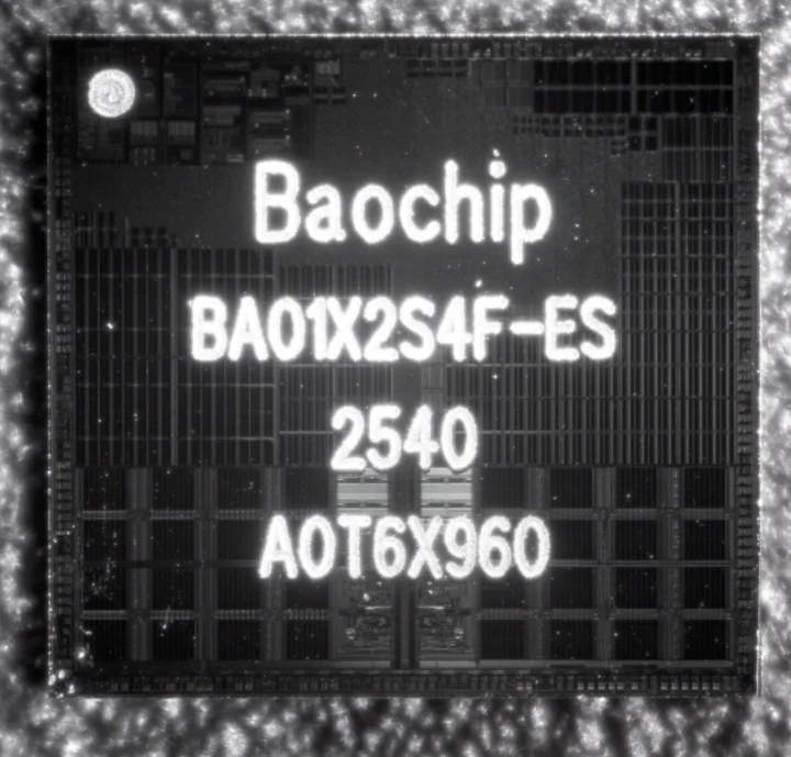 Inspection Baochip IRIS Inspection Baochip IRIS