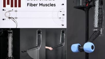 Et si les robots avaient des muscles au lieu de moteurs ? Actionneurs de fibre du MIT 6 MIT