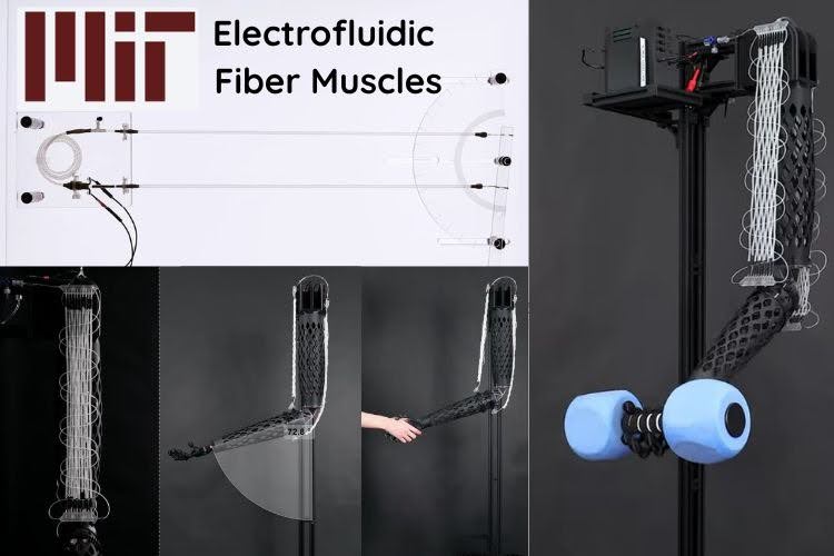 Et si les robots avaient des muscles au lieu de moteurs ? Actionneurs de fibre du MIT 1 MIT