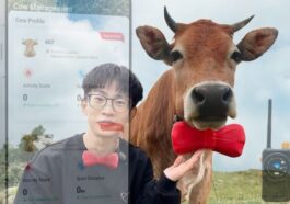 Tracking Cows Without Cell Towers A Custom LoRa Farm Network