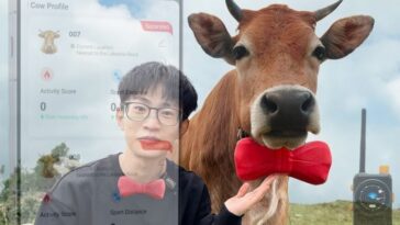 Tracking Cows Without Cell Towers A Custom LoRa Farm Network