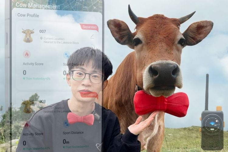 Que se passe-t-il lorsque vous construisez un réseau privé uniquement pour suivre les vaches ? 1 Tracking Cows Without Cell Towers A Custom LoRa Farm Network