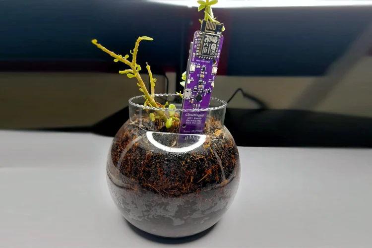 Dispositif compact de surveillance de l'humidité du sol basé sur l'IoT à faible consommation Dispositif compact de surveillance de l'humidité du sol basé sur l'IoT à faible consommation